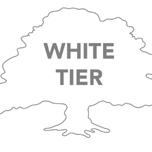 5K Sponsorship - White Tier